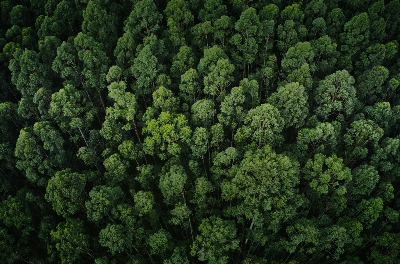 Sustentabilidade image